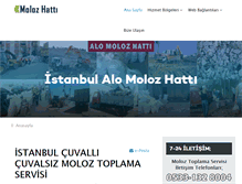 Tablet Screenshot of molozhatti.org